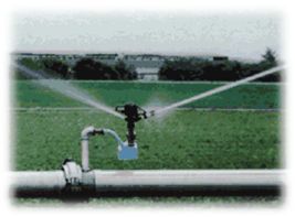 Rociador